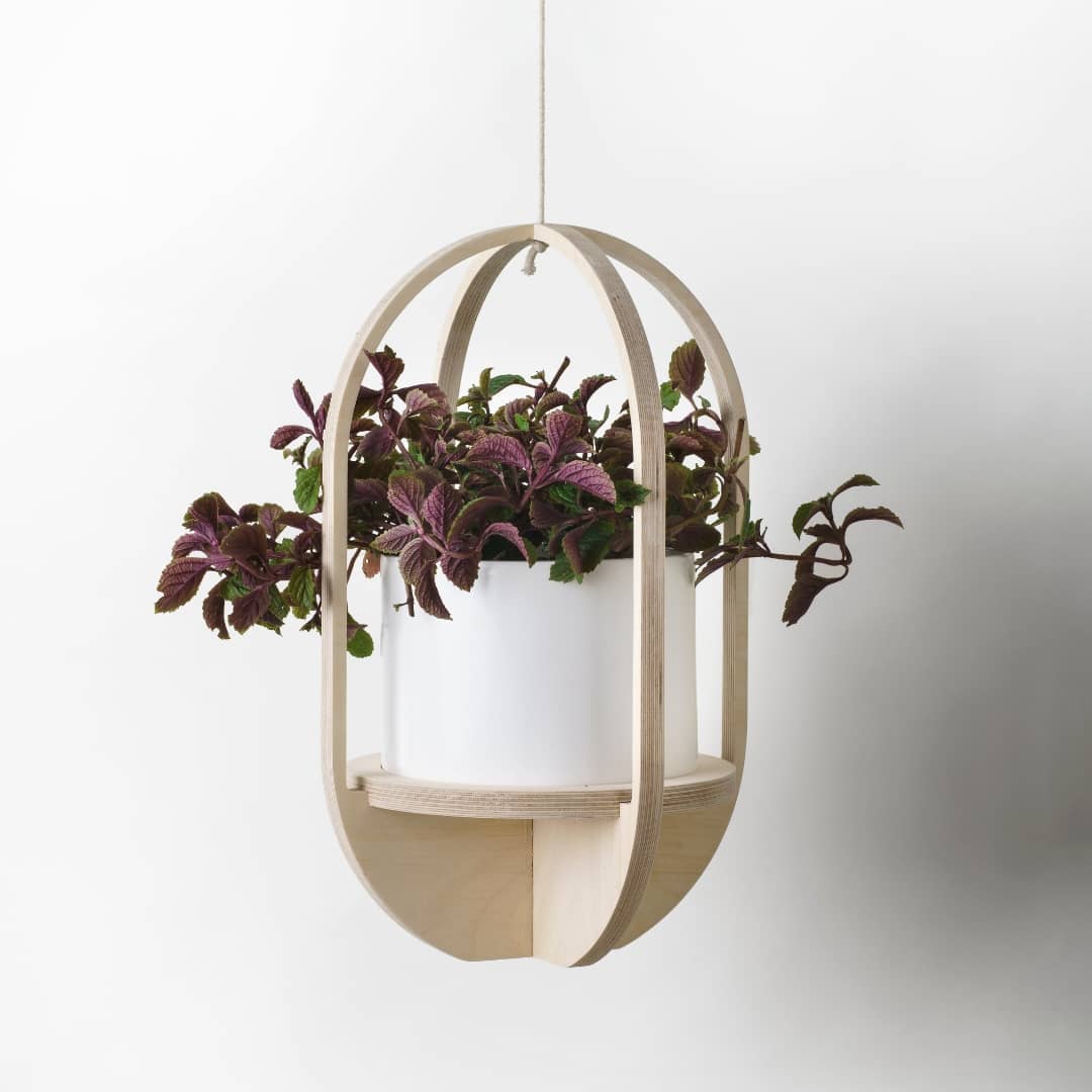 Hanging Pot Plant Holder pill with plant