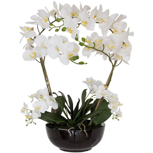 White Real Touch Orchid