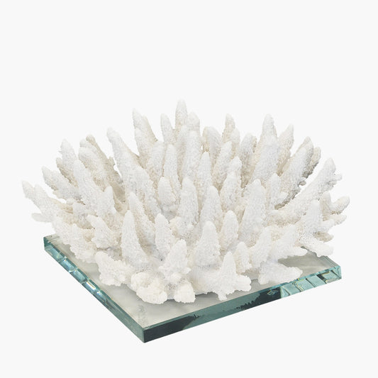 Woodka interiors coastal decor with our Spiked Coral on a glass stand