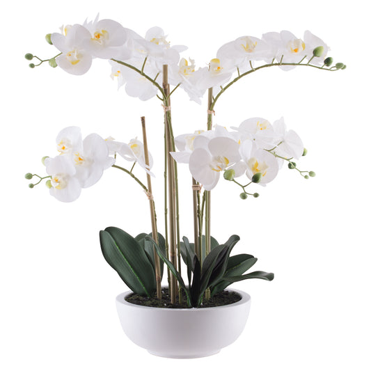 White Orchid In Ceramic Pot 64cm