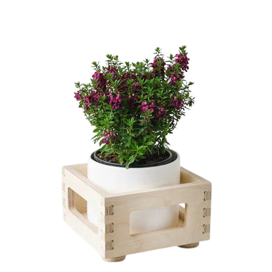 planter box for table