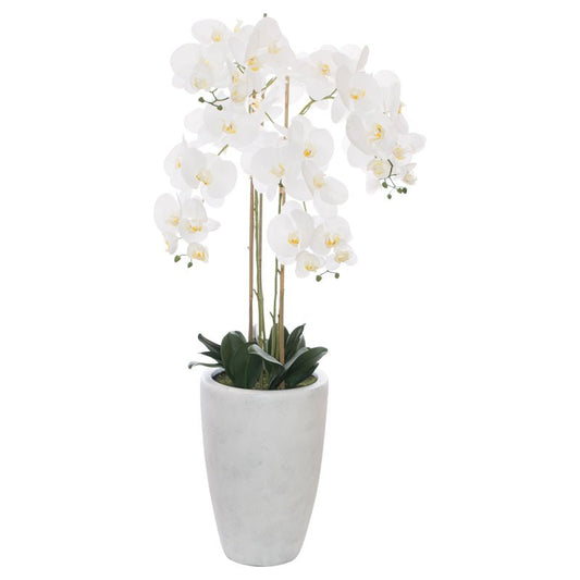 Floor Standing White Orchid 125cm