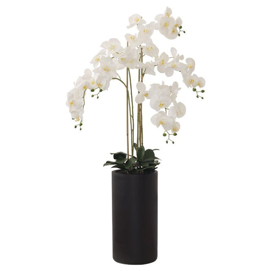 Floor Standing White Orchid 135cm